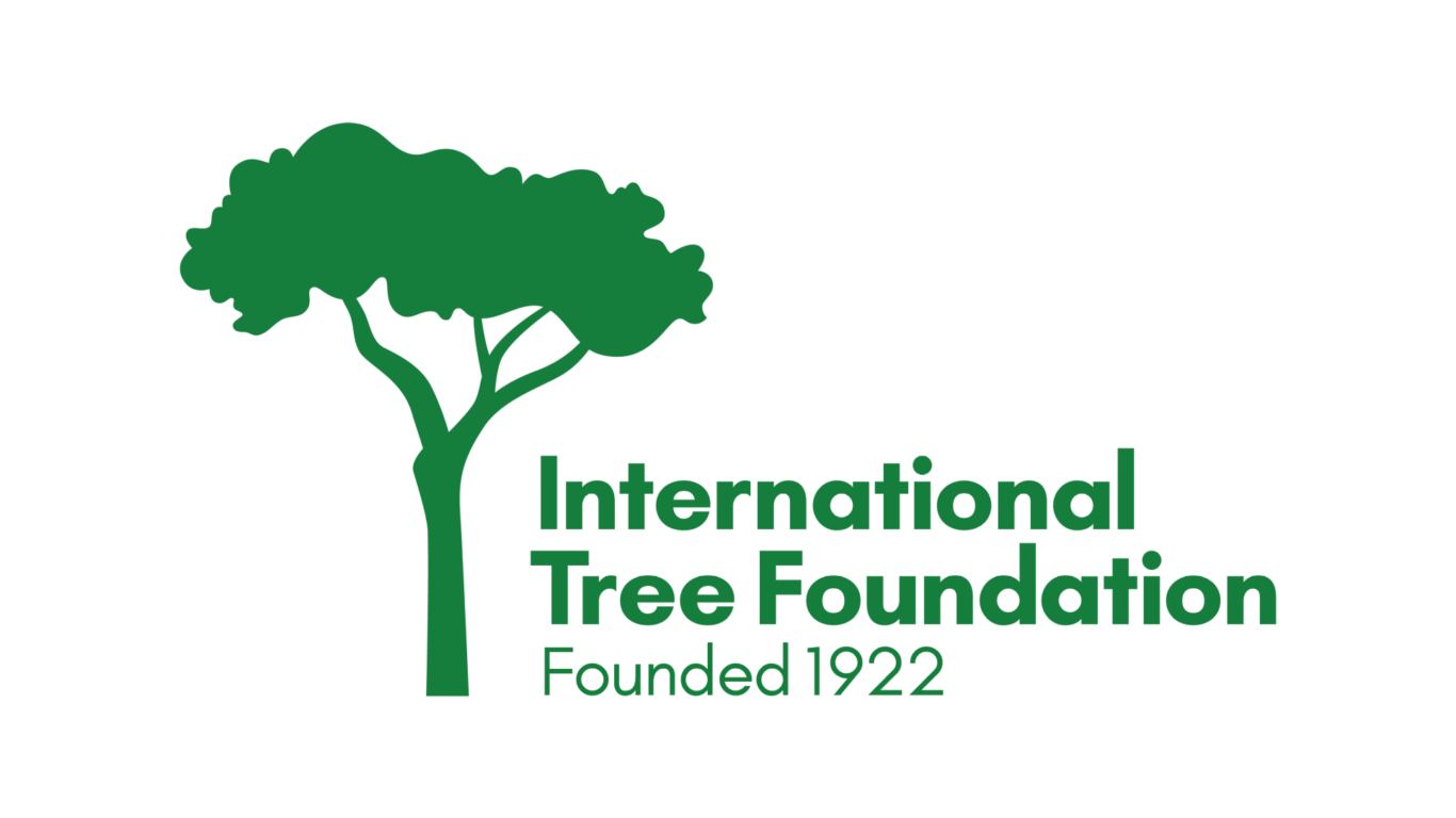 ITF Full Logo website